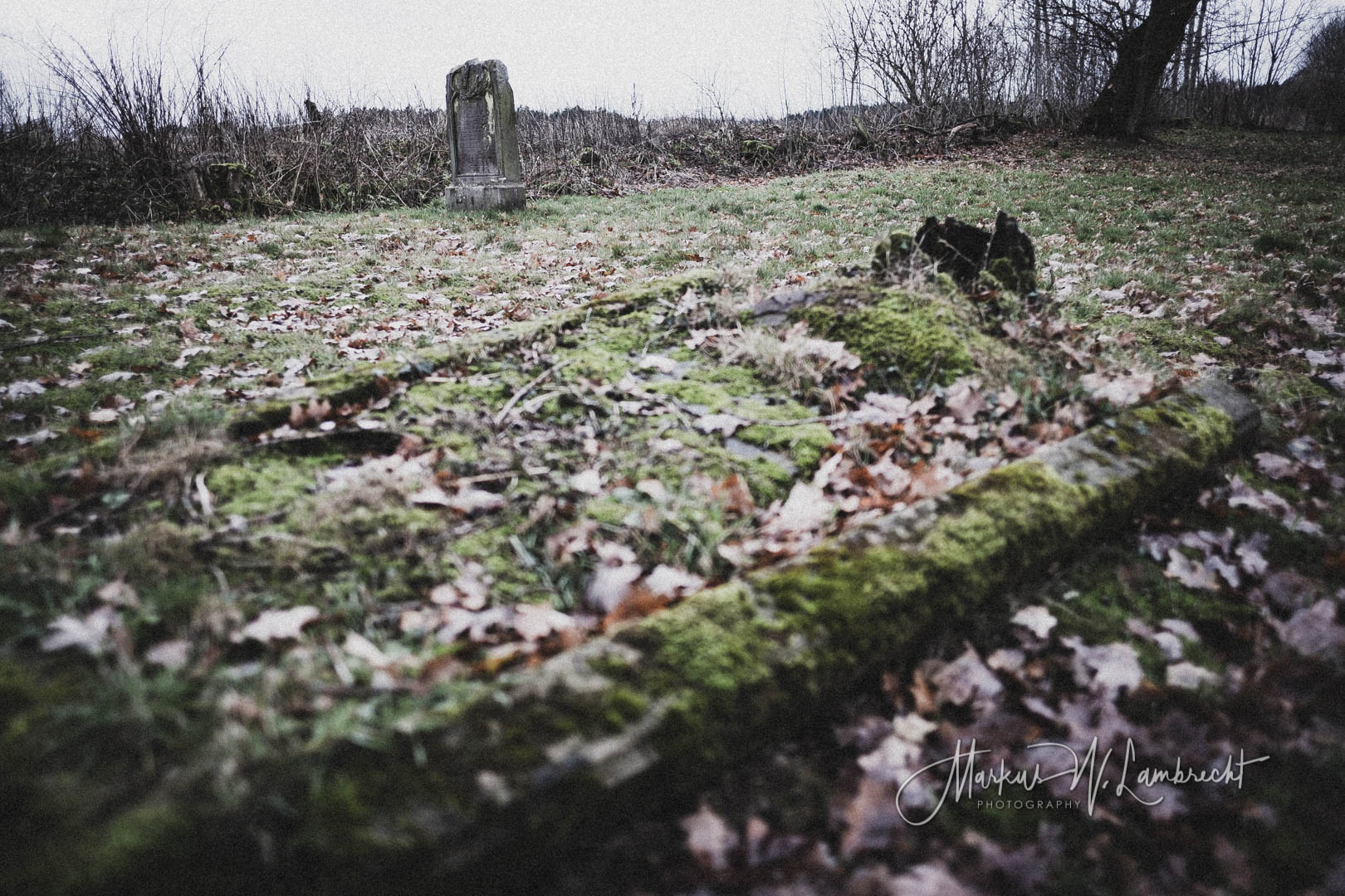 Mackensen (Dassel), Jüdischer Friedhof